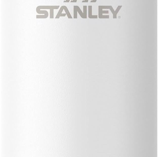 Chill Out: The Ultimate Review of the Stanley Everyday Can Cooler Cup