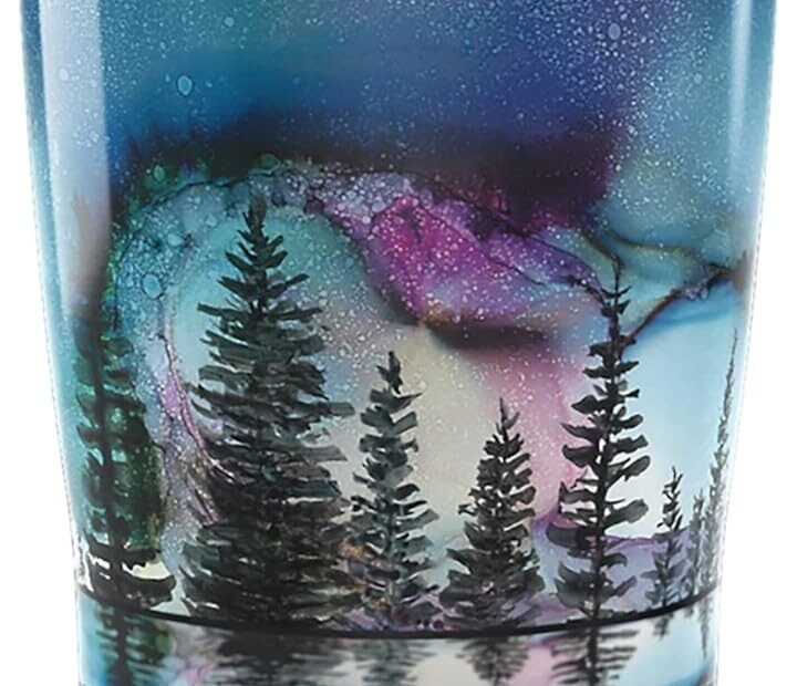 Stay Hydrated in Style: Tervis Traveler Inkreel The Heavens Tumbler Review