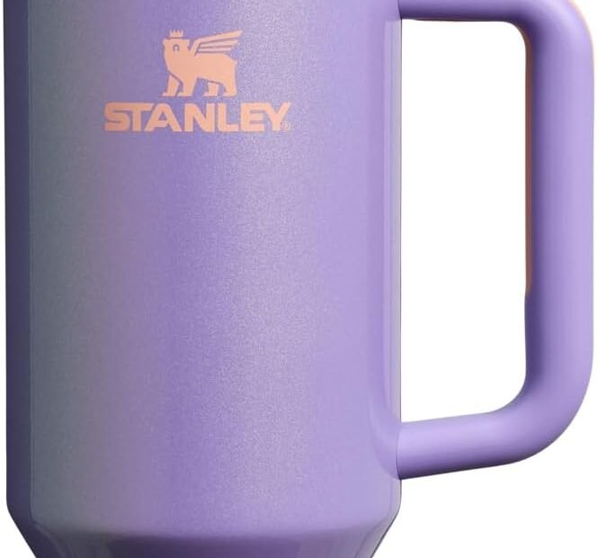 Stay Hydrated in Style: The Stanley Quencher H2.0 Tumbler Review