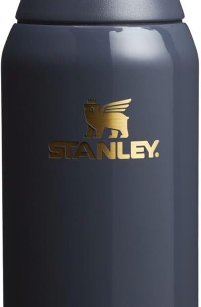 Stay Hydrated On-the-Go: STANLEY All Day Slim Bottle Review