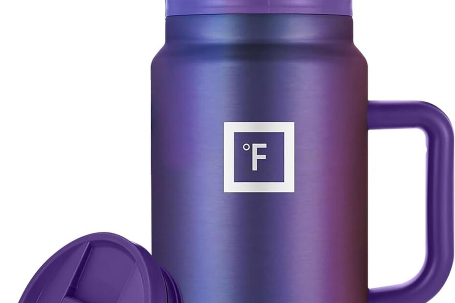 Stay Hydrated On-the-Go: The IRON FLASK Co-Pilot Insulated Mug Review