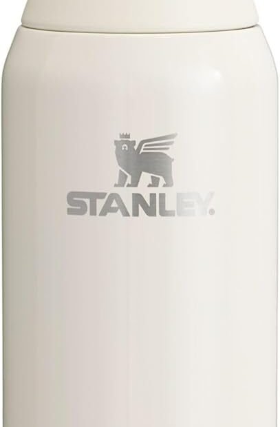 Stay Hydrated Anywhere: STANLEY All Day Slim Bottle Review