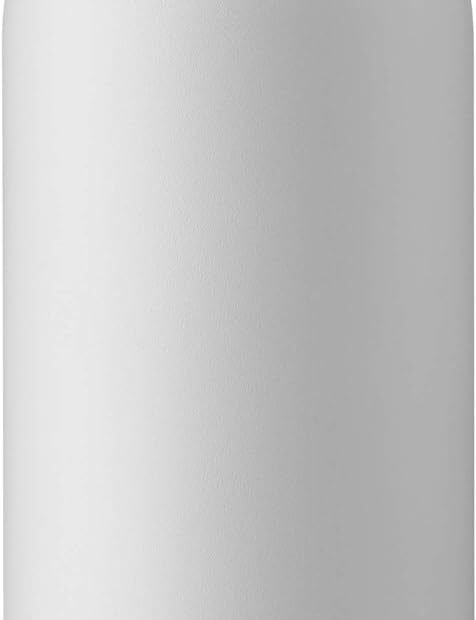 Stay Hydrated in Style: Owala FreeSip 32 oz Insulated Water Bottle Review