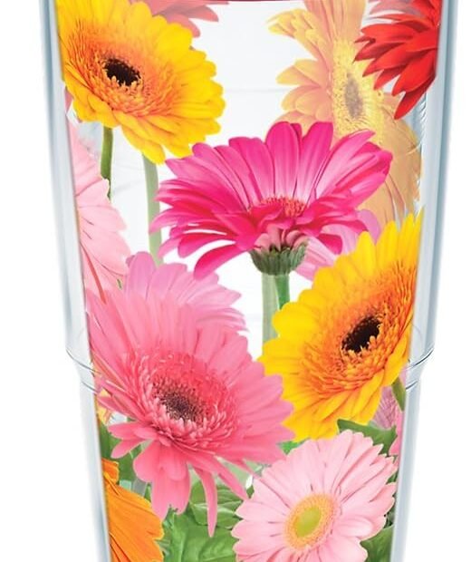 Stay Hydrated in Style: Tervis Gerbera Daisies Insulated Tumbler Review
