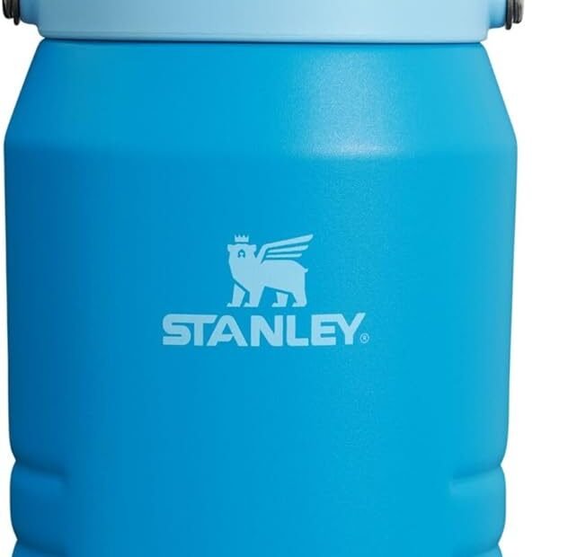 Stay Hydrated on the Go: Review of the Stanley IceFlow Flip Straw Jug