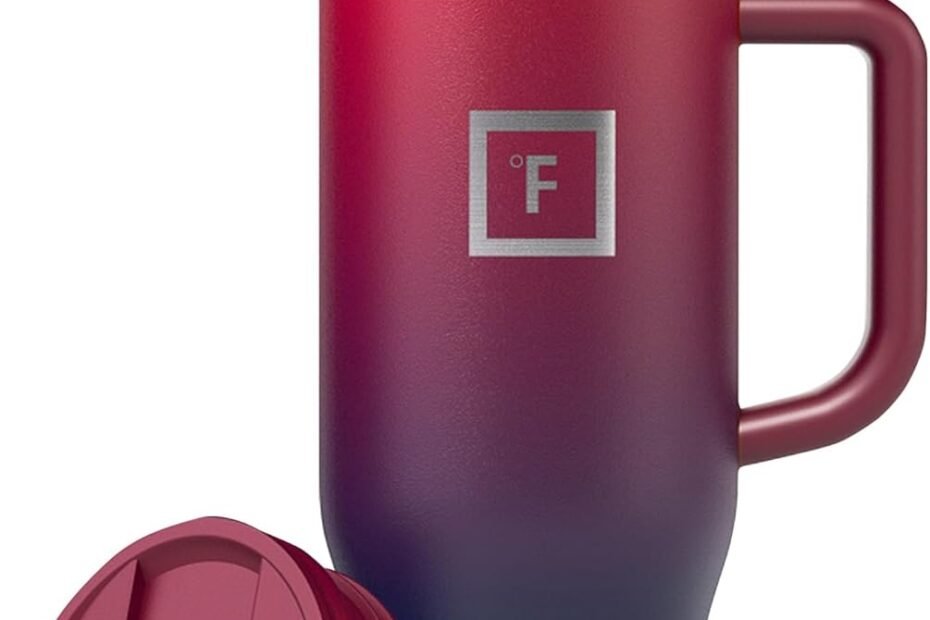 Stay Hydrated On-the-Go: Review of the IRON °FLASK Co-Pilot Insulated Mug