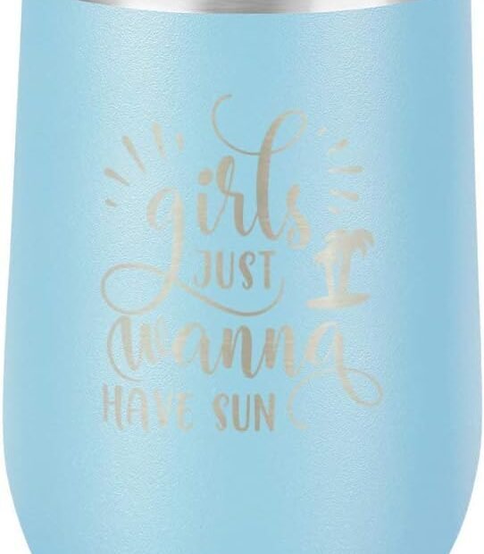 Sip in Style: Review of the GIRLS JSUT WANNA HAVE SUN Steel Wine Glass!
