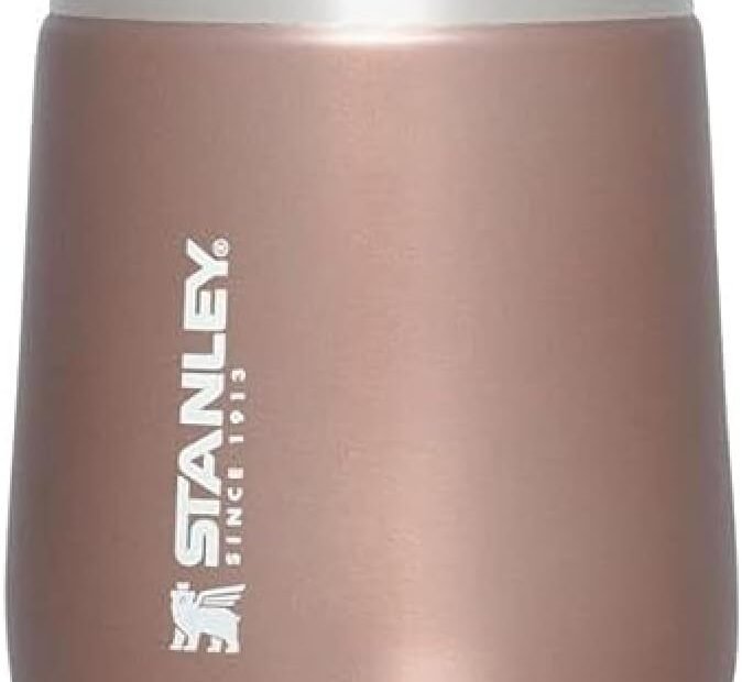 Sip in Style: STANLEY GO Everyday Wine Tumbler Review