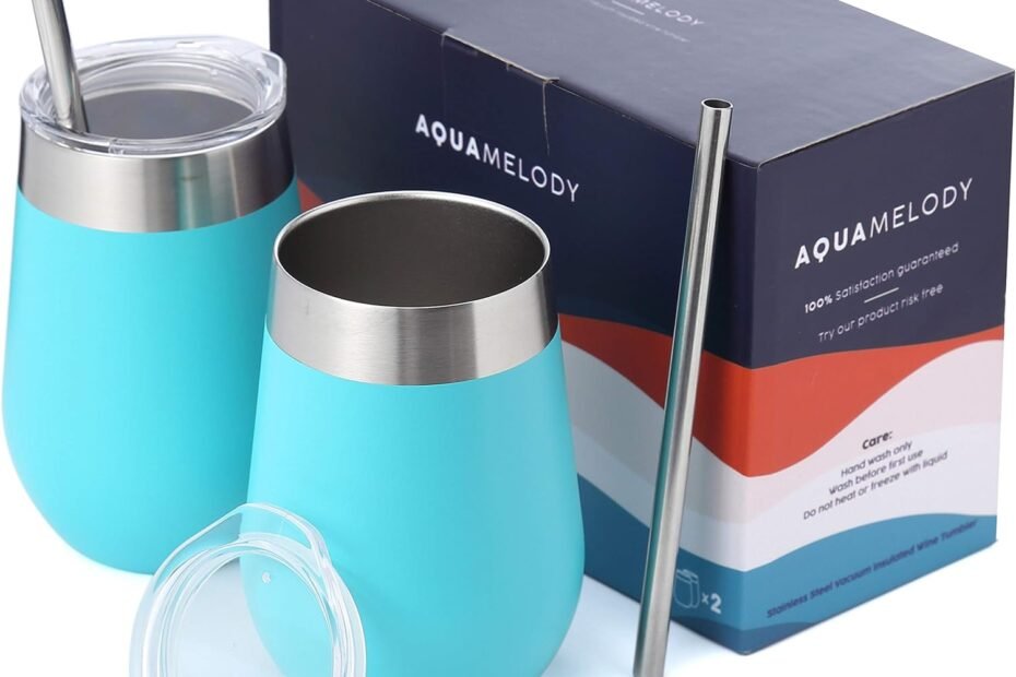 Sip in Style: The Ultimate Review of Aqua Melody's Double Insulated Wine Glass